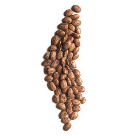Pinto Beans 1x25kg