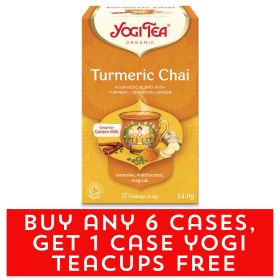 Turmeric Chai Tea Bags - Organic 6x17bags