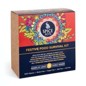 Festive Foodie Survival Kit - spices and recipe book 1x(4x40