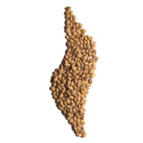 Pot Barley  - Organic 1x3kg