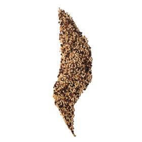 Tricolour Quinoa - Organic 1x3kg