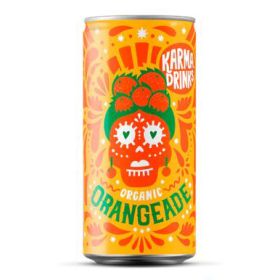 Orangeade Can - Organic 24x250ml