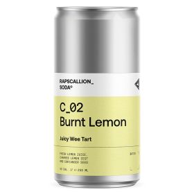 Burnt Lemon Soda 12x250ml