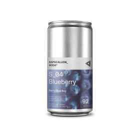 Scottish Blueberry Soda (Seasonal) 12x250ml