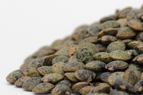 Dark Speckled Lentils