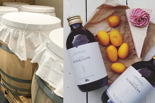 Six Questions from Greencity with You & I Kombucha 