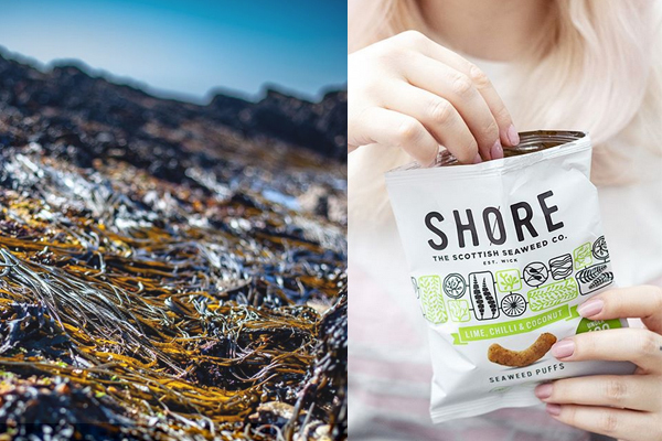 Six Questions from Greencity with SHØRE 