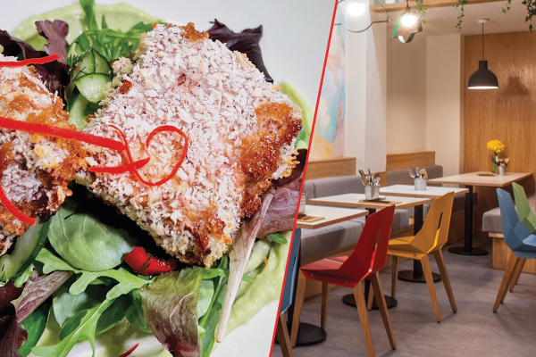 Recipe - Yakitori Tofu  with Pickled Cucumber Salad 