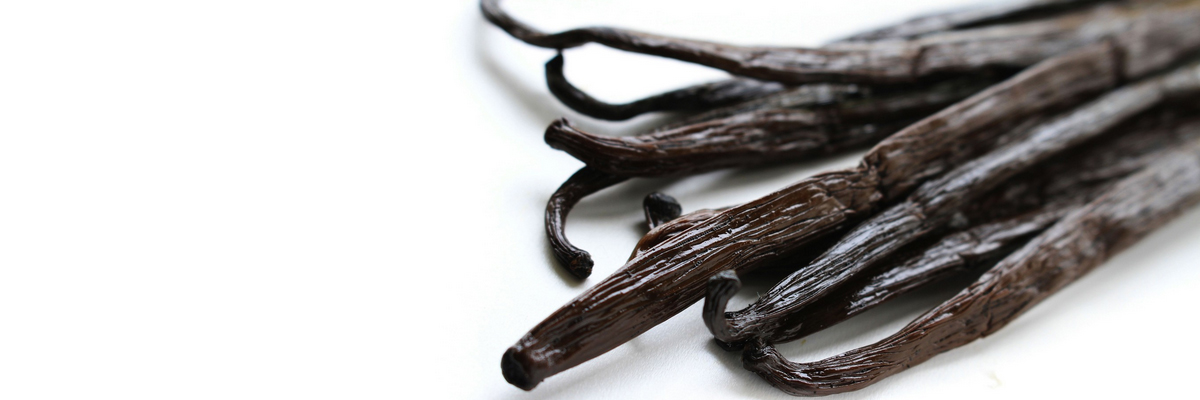 Image result for vanilla