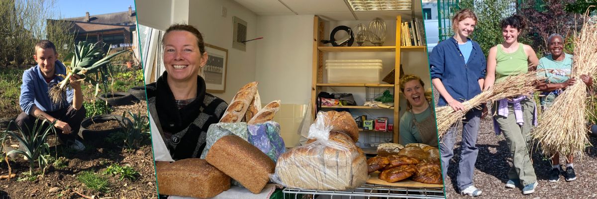 A selection of photos showing members of Granton Community Gardeners